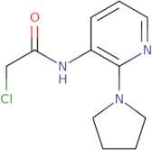 2-Chloro-N-[2-(pyrrolidin-1-yl)pyridin-3-yl]acetamide