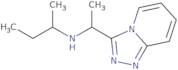 (Butan-2-yl)(1-{[1,2,4]triazolo[4,3-a]pyridin-3-yl}ethyl)amine