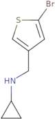 N-[(5-Bromothiophen-3-yl)methyl]cyclopropanamine