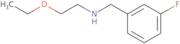 (2-Ethoxyethyl)[(3-fluorophenyl)methyl]amine