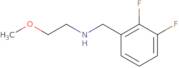 [(2,3-Difluorophenyl)methyl](2-methoxyethyl)amine