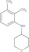 N-(2,3-Dimethylphenyl)thian-4-amine