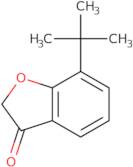 7-tert-Butyl-2,3-dihydro-1-benzofuran-3-one