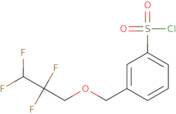 3-[(2,2,3,3-Tetrafluoropropoxy)methyl]benzene-1-sulfonyl chloride