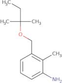 2-Methyl-3-{[(2-methylbutan-2-yl)oxy]methyl}aniline