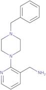 [2-(4-Benzyl-1-piperazinyl)-3-pyridinyl]-methanamine