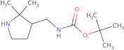 tert-Butyl N-[(2,2-dimethylpyrrolidin-3-yl)methyl]carbamate