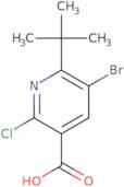 5-Bromo-6-tert-butyl-2-chloropyridine-3-carboxylic acid