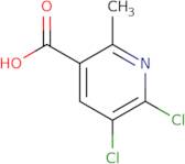 5,6-Dichloro-2-methylpyridine-3-carboxylic acid