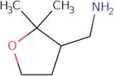 (2,2-Dimethyloxolan-3-yl)methanamine