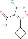 3-Chloro-5-cyclobutyl-1,2-oxazole-4-carboxylic acid