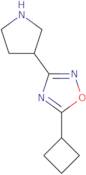 5-Cyclobutyl-3-(pyrrolidin-3-yl)-1,2,4-oxadiazole