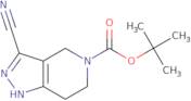 tert-Butyl 3-cyano-1H,4H,5H,6H,7H-pyrazolo[4,3-c]pyridine-5-carboxylate