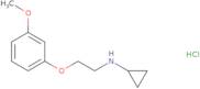 Cyclopropanamine, N-[2-(3-methoxyphenoxy)ethyl]-, hydrochloride (1:1)