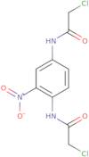 2-Chloro-N-[4-(2-chloroacetamido)-3-nitrophenyl]acetamide