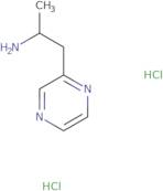 1-(Pyrazin-2-yl)propan-2-amine dihydrochloride
