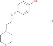 4-[2-(Morpholin-4-yl)ethoxy]phenol hydrochloride