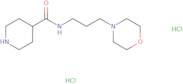 N-[3-(Morpholin-4-yl)propyl]piperidine-4-carboxamide dihydrochloride