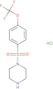 1-[4-(Trifluoromethoxy)benzenesulfonyl]piperazine hydrochloride