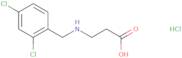 3-{[(2,4-Dichlorophenyl)methyl]amino}propanoic acid hydrochloride
