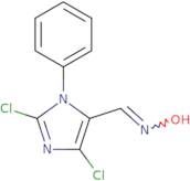 N-[(2,4-Dichloro-1-phenyl-1H-imidazol-5-yl)methylidene]hydroxylamine