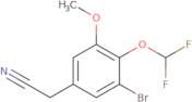 2-[3-Bromo-4-(difluoromethoxy)-5-methoxyphenyl]acetonitrile