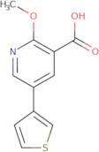 2-{[(2-Chlorophenyl)methyl](ethyl)amino}acetic acid