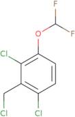 2,6-Dichloro-3-(difluoromethoxy)benzyl chloride