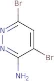 4,6-Dibromopyridazin-3-amine