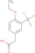 4-Ethoxy-3-(trifluoromethyl)phenylacetic acid