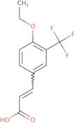 4-Ethoxy-3-(trifluoromethyl)cinnamic acid