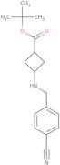 tert-Butyl 3-(4-cyanobenzylamino)cyclobutanecarboxylate