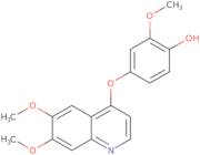 4-(6,7-Dimethoxyquinolin-4-yloxy)-2-methoxyphenol