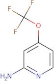 4-(Trifluoromethoxy)pyridin-2-amine