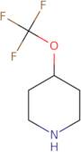 4-(Trifluoromethoxy)piperidine