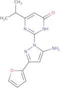 2-[5-Amino-3-(2-furyl)-1H-pyrazol-1-yl]-6-isopropylpyrimidin-4(3H)-one