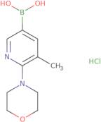 5-Methyl-6-morpholinopyridin-3-ylboronic acidhydrochloride