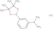 N,N-Dimethyl-3-(4,4,5,5-tetramethyl-1,3,2-dioxaborolan-2-yl)aniline hydrochloride