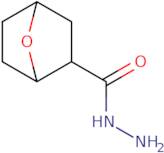 7-Oxabicyclo[2.2.1]heptane-2-carbohydrazide