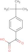 2-(4-tert-Butylphenyl)-2-oxoacetic acid