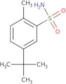 5-tert-Butyl-2-methylbenzene-1-sulfonamide