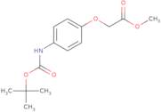 Methyl 2-(4-((tert-butoxycarbonyl)amino)phenoxy)acetate