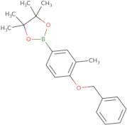 4-Benzyloxy-3-methylphenylboronic acid pinacol ester