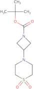 3-(1,1-Dioxo-1-thiomorpholine-4-yl)azetidine-1-carboxylic acid tert-butyl ester