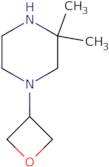 3,3-Dimethyl-1-(oxetan-3-yl)piperazine