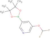 3-(Difluoromethoxy)-5-(tetramethyl-1,3,2-dioxaborolan-2-yl)pyridine