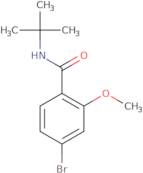 N-t-butyl 4-bromo-2-methoxybenzamide