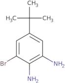 3-Bromo-5-tert-butylbenzene-1,2-diamine