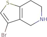 3-Bromo-4,5,6,7-tetrahydrothieno[3,2-c]pyridine