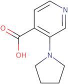 3-(Pyrrolidin-1-yl)pyridine-4-carboxylic acid